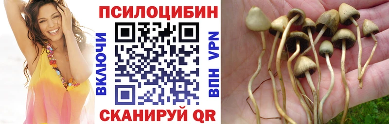Галлюциногенные грибы мухоморы  Новокузнецк 