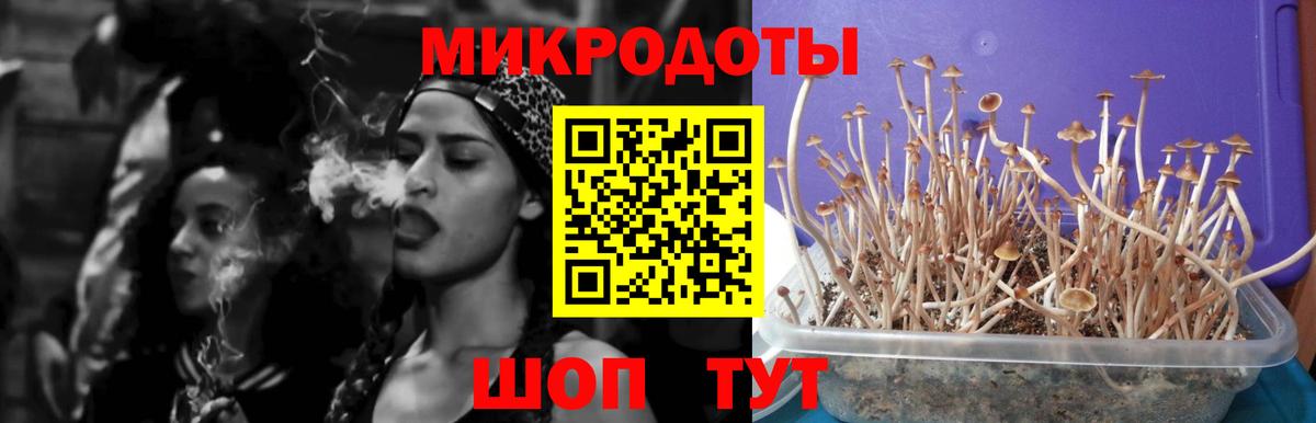 Новокузнецк  Псилоцибиновые грибы GOLDEN TEACHER  Вход с VPN 